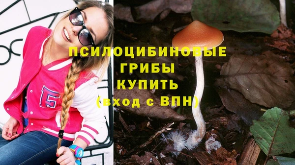 СК Володарск