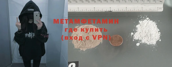 индика Волоколамск