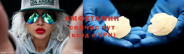 индика Волоколамск