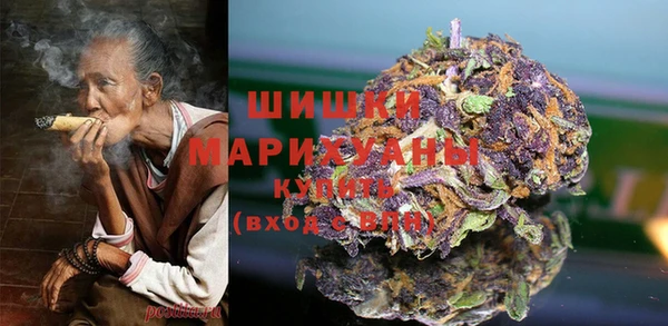 индика Волоколамск