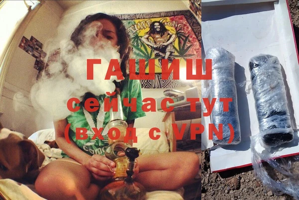 индика Волоколамск