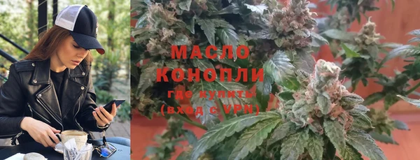 индика Волоколамск