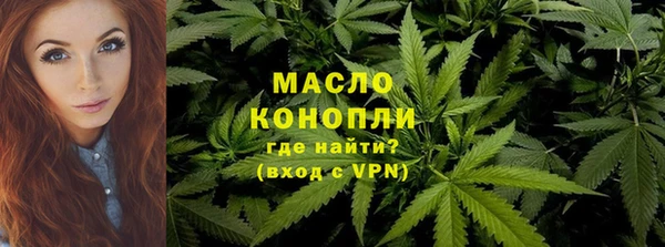 индика Волоколамск