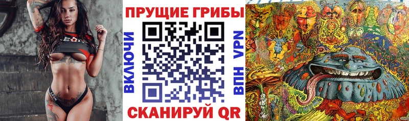 Псилоцибиновые грибы Magic Shrooms  Ишимбай 